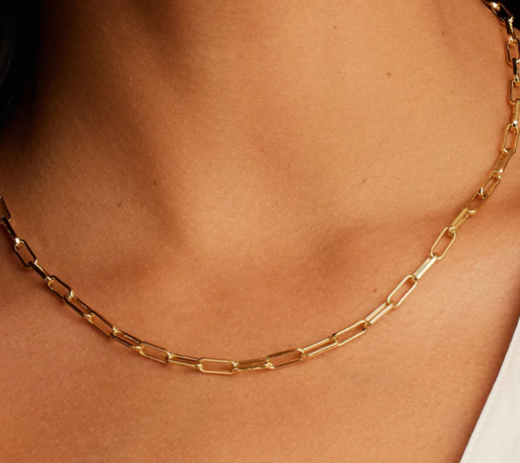 Tessa Gold Link Necklace